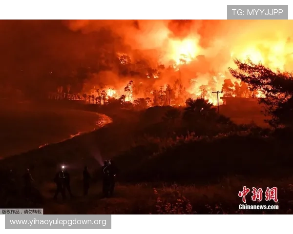 壹号注册链接入口:如何快速找到官方注册入口避免假冒网站